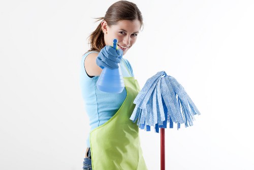 Professional carpet cleaning in a South Harrow living room