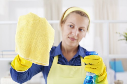 Cleaner assessing carpet cleaning equipment before use