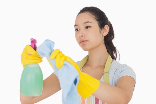 Liability and service limitation terms section