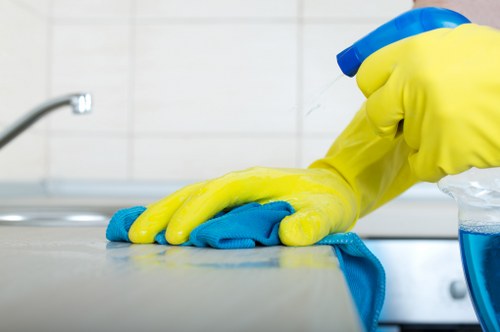 Deep cleaning process for a sofa in South Harrow home