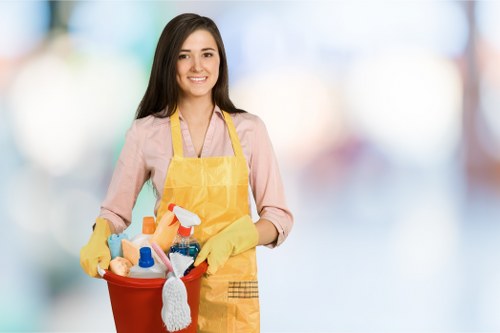 Accessible South Harrow carpet cleaners page with clear structure and support